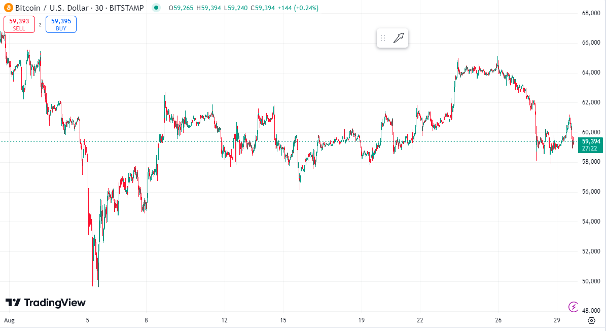 Bitcoin price chart for August 2024