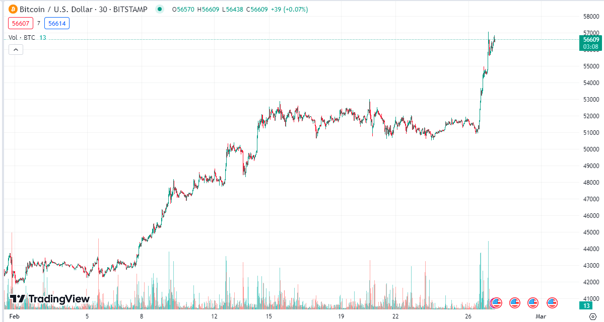 Bitcoin Price Chart for February
