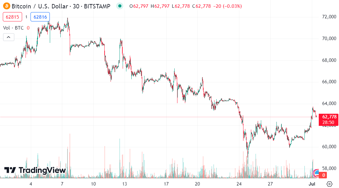 Bitcoin price chart for June 2024