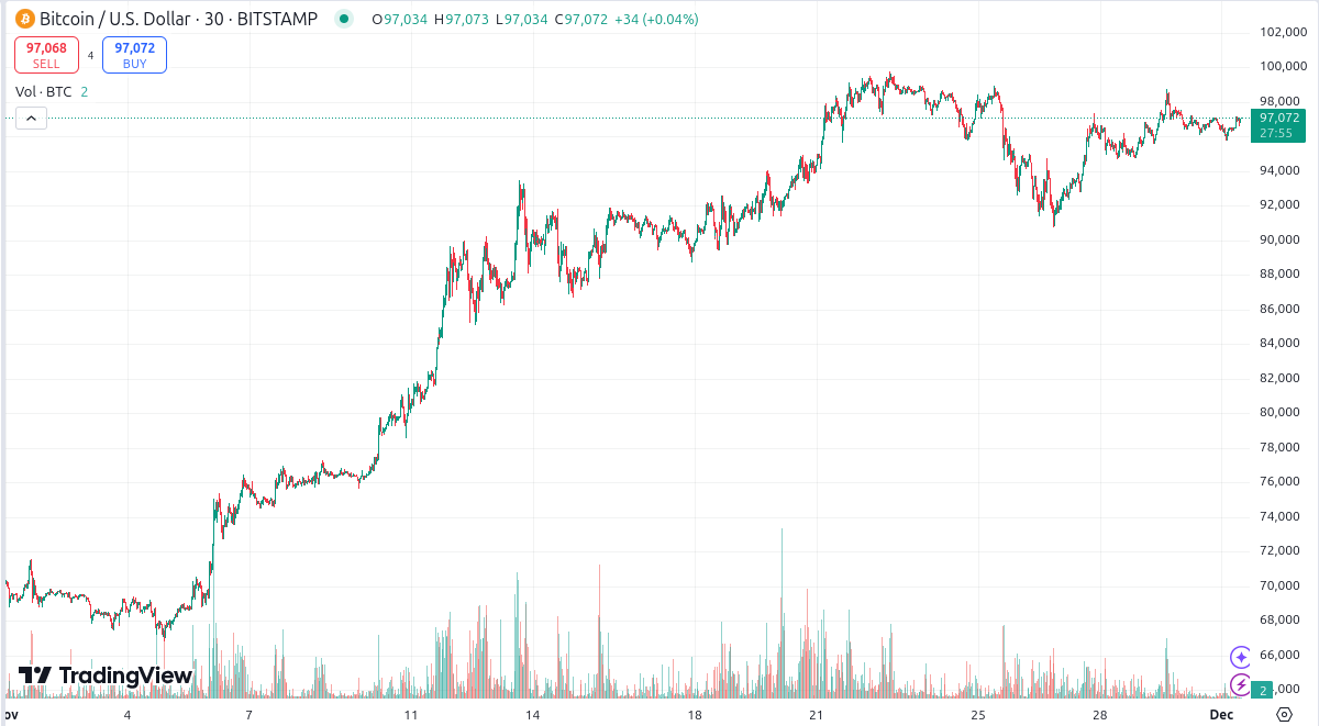 Bitcoin price chart for November 2024