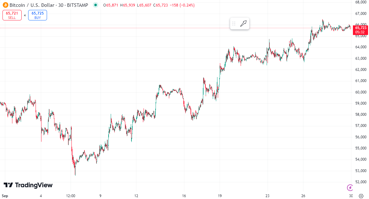 Bitcoin price chart for September 2024